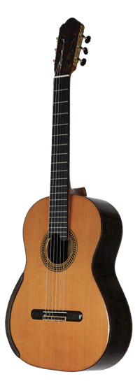 Yulong Guo 2011 Chamber Concert Doubletop