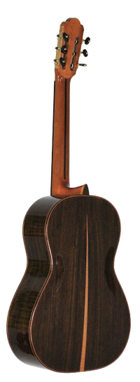 Yulong Guo 2011 Chamber Concert Doubletop