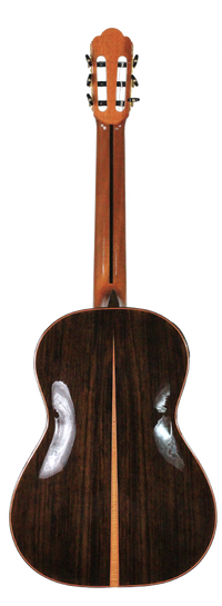 Yulong Guo 2011 Chamber Concert Doubletop