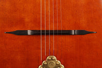 Altamira - M30D Antique