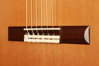 Hanson Yao - 2016