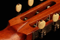 Romantic Guitar - ca. 1910 Markneukirchen