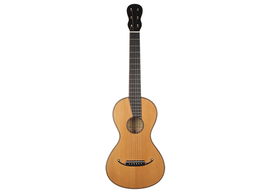 Armin Gropp - 2013 Romantische Gitarre