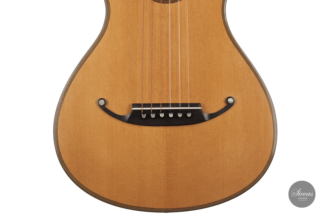 Armin Gropp - 2013 Romantische Gitarre