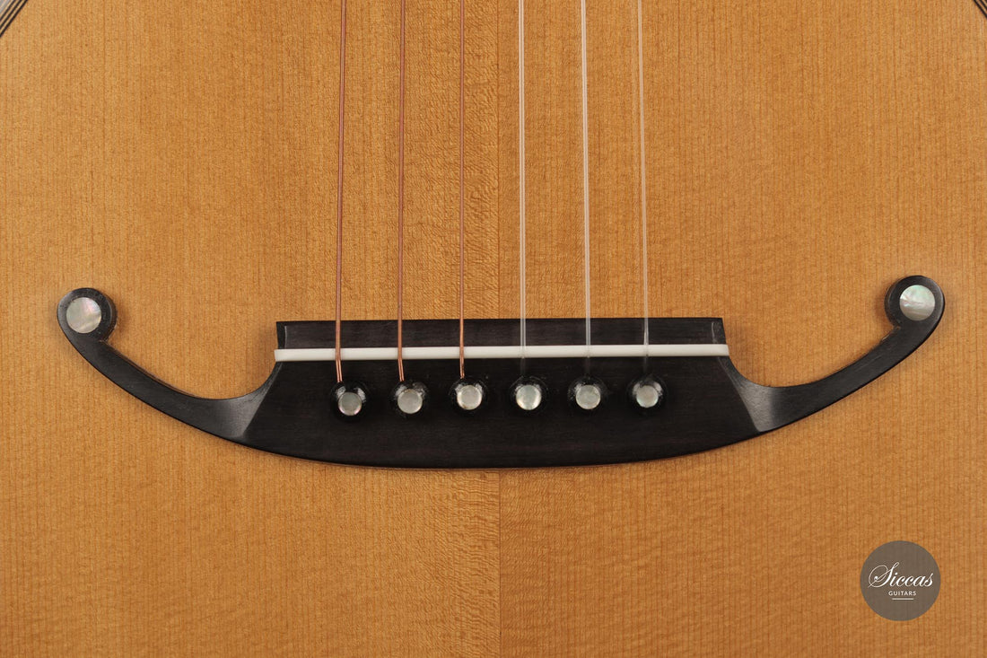 Armin Gropp - 2013 Romantische Gitarre