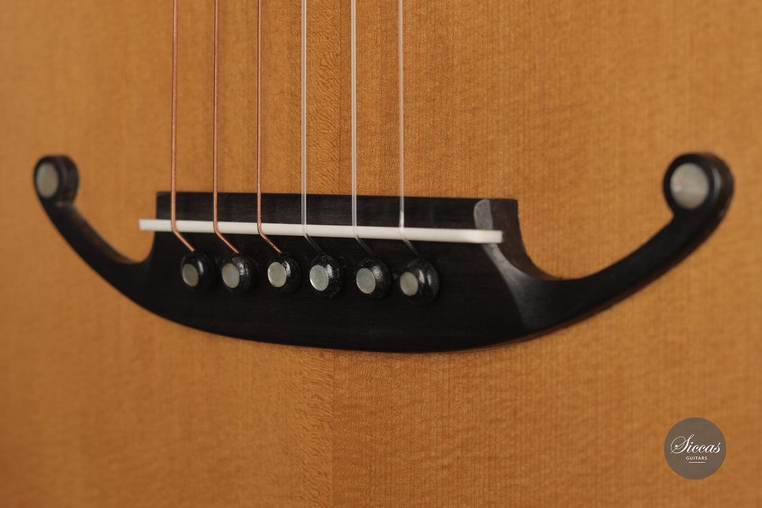 Armin Gropp - 2013 Romantische Gitarre
