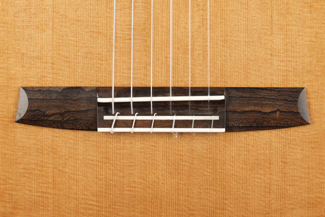 Armin Hanika – 1a Doubletop CF