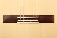 Armin Hanika - Natural PF "Custom"