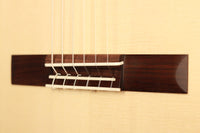 Armin Hanika - Natural PF "Custom"