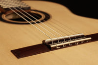 Armin Hanika - Natural PF "Custom"