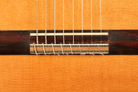 Dake Traphagen - 2003 8 Saiten