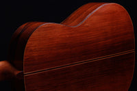 Daniel Friederich - 1966