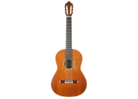 Daniel Friederich - 1978