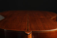 Daniel Friederich - 1978