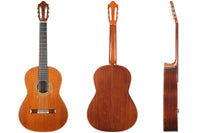 Daniel Friederich - 1978