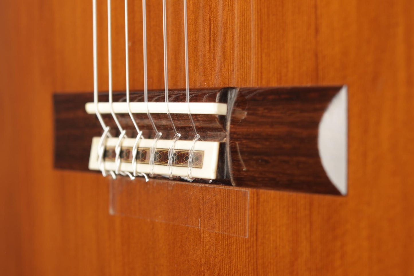 Daniel Friederich - 1978