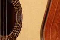 Danilo Bazzana - 2019
