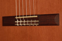 David Ryer - 2018 Doubletop 64cm