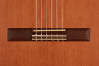 David Ryer - 2018 Doubletop 64cm