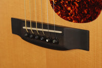 Froggy Bottom - 2009 SJ-LTD