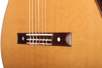 Gerhard Oldiges - 2008