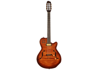 Godin Multiac Jazz SA