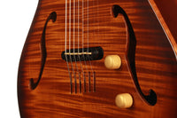 Godin Multiac Jazz SA