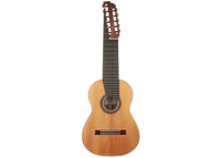 Heikki Rousu - 2019 11-String