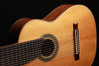 Heikki Rousu - 2019 11-String