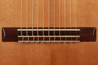 Heikki Rousu - 2019 11-String