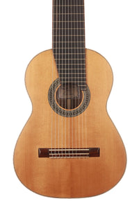 Heikki Rousu - 2019 11-String