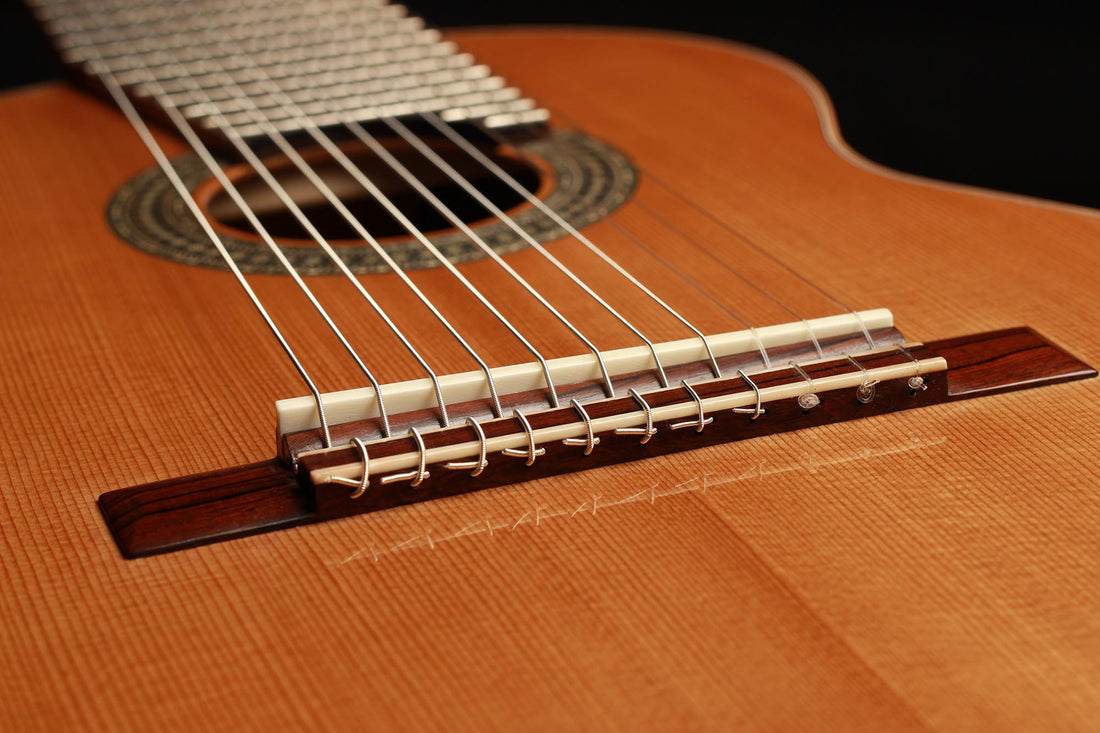 Heikki Rousu - 2019 11-String