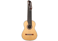 Heikki Rousu - 2020 11-String