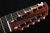 Heikki Rousu - 2020 11-String