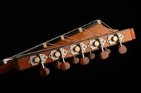 Heikki Rousu - 2020 11-String