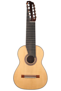 Heikki Rousu - 2020 11-String