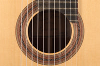 Heikki Rousu - 2020 11-String