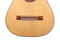 Heikki Rousu - 2020 11-String