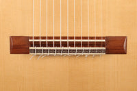 Heikki Rousu - 2020 11-String