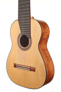 Heikki Rousu - 2020 11-String