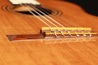 Hermann Hauser ® II - 1961 #695