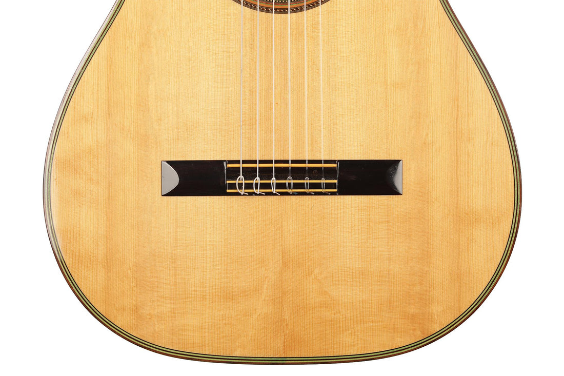 Hermann Hauser ® II - 1976