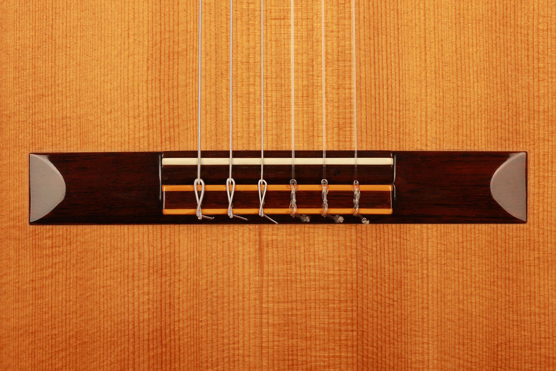 Hermann Hauser ® II - 1976