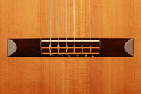Hermann Hauser ® II - 1976