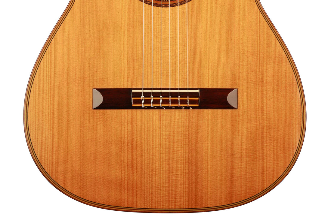 Hermann Hauser ® II - 1976