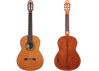 Dieter Hopf - Portentosa Evolucion 2016