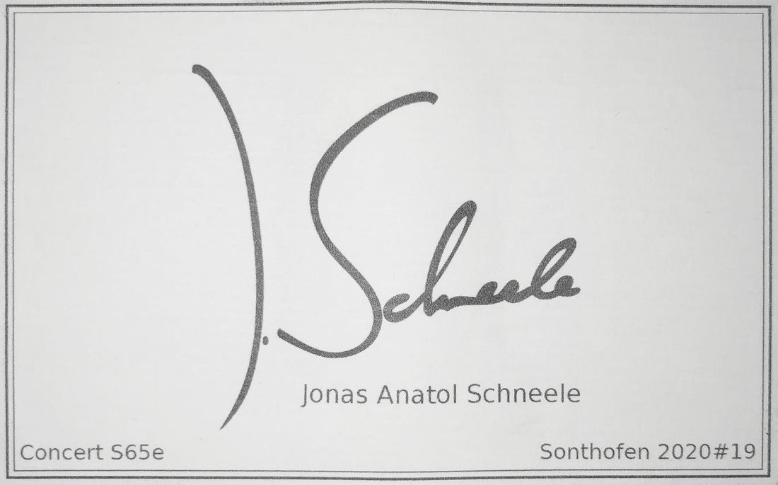 Jonas Anatol Schneele - 2020