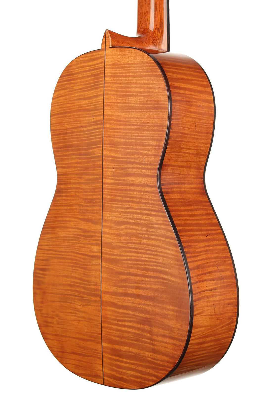 La Cañada - 17A Ahorn 64 cm