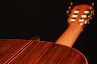 Lisa Weinzierl - 2019