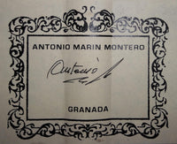 Antonio Marin Montero - 2013